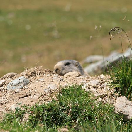 Apart Hotel Garni Alvetern Samnaun Esterno foto